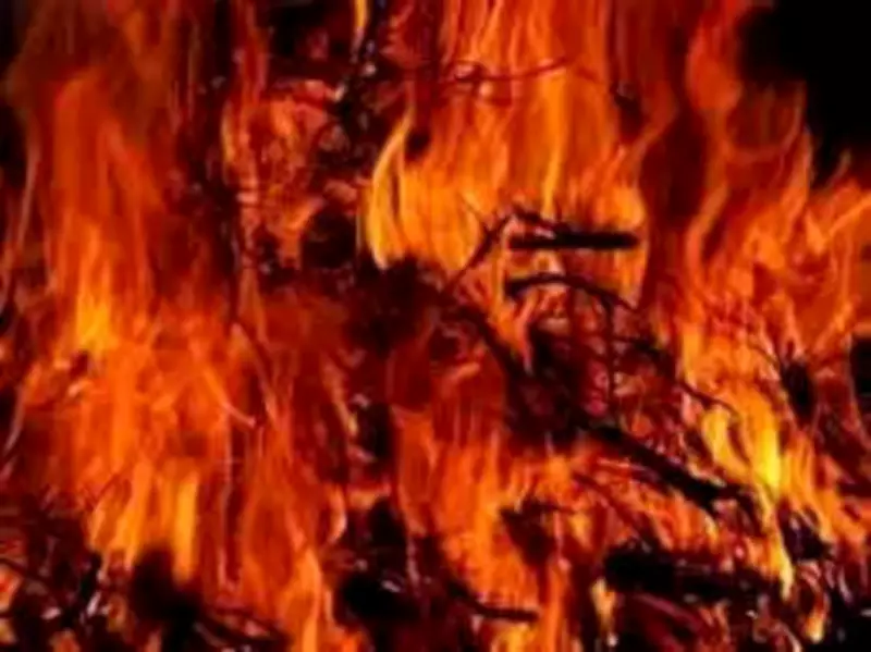 Madras HC Directs TN Govt to File Report on Fireworks Accidents in Virudhunagar