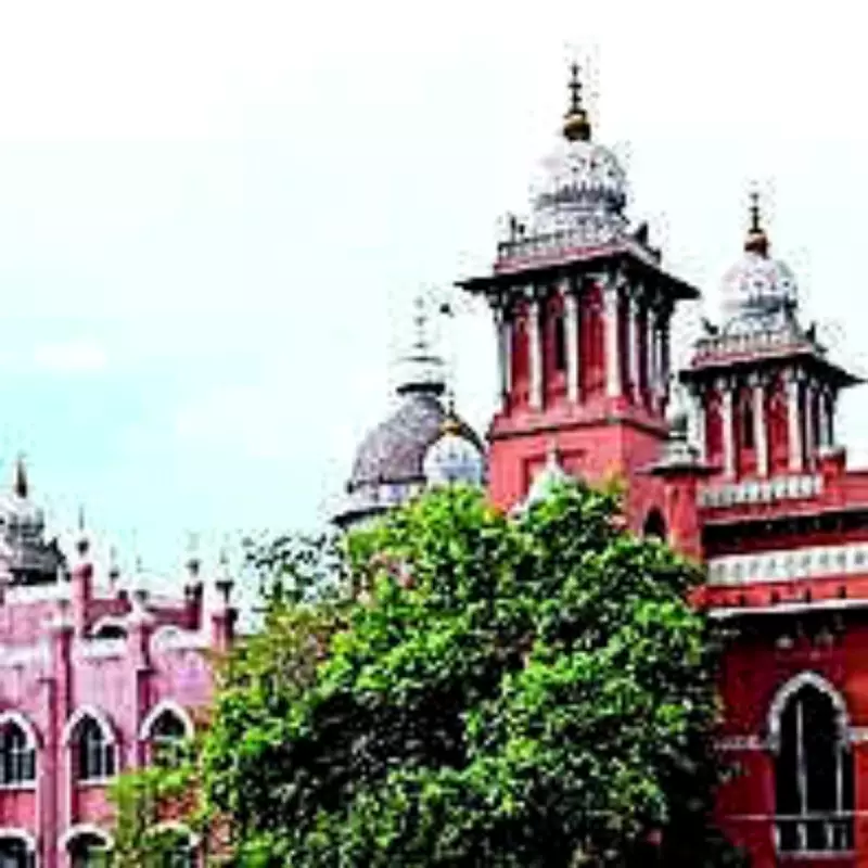 Madurai HC Seeks Reply on PIL to Revive Viraganur Flyover Project