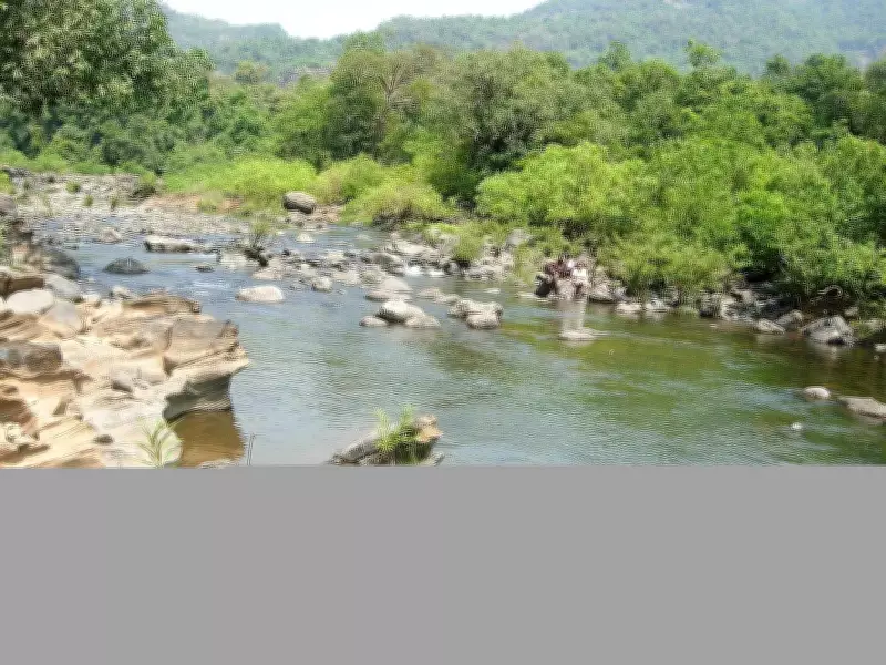 Mahadayi project delay due to administrative inaction, not legal hurdles: Expert