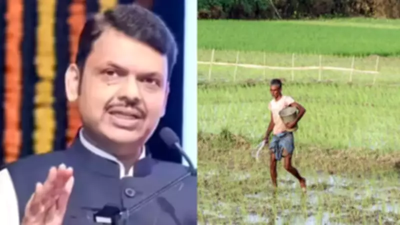 Maharashtra CM Advises Farmers: No Widespread Rain Before June 15