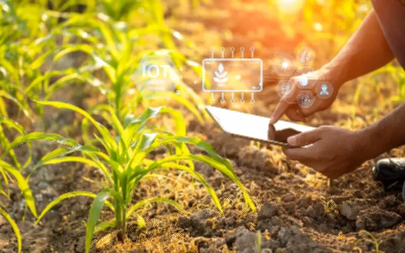 Maharashtra Farmer Gets '1 Paisa' Under PM-Kisan Scheme Due to Tech Glitch