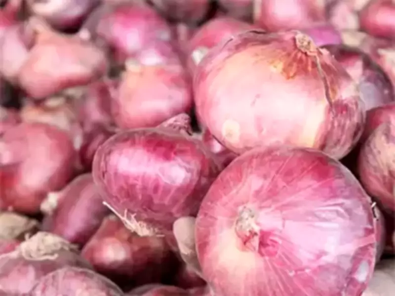 Maharashtra farmers welcome onion rule relaxation, demand higher MSP