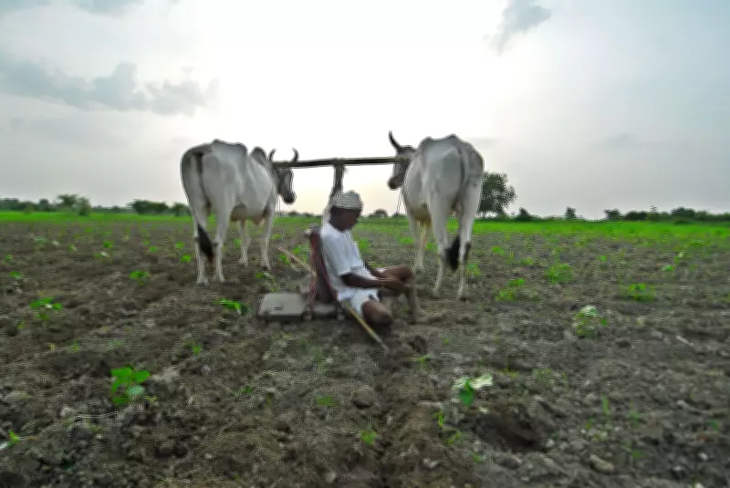 Maharashtra Forms 3 Panels for Swift Loan Waiver Implementation Ahead of Monsoon Session