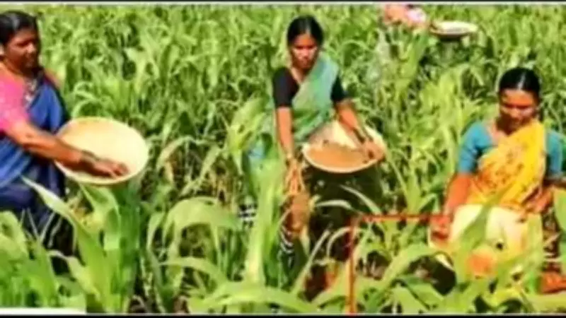 Maharashtra Forms 3 Panels to Oversee Farm Loan Waiver Scheme Implementation