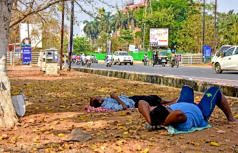 Maharashtra Reports 292 Heatstroke Cases, 15 Suspected Deaths Since March