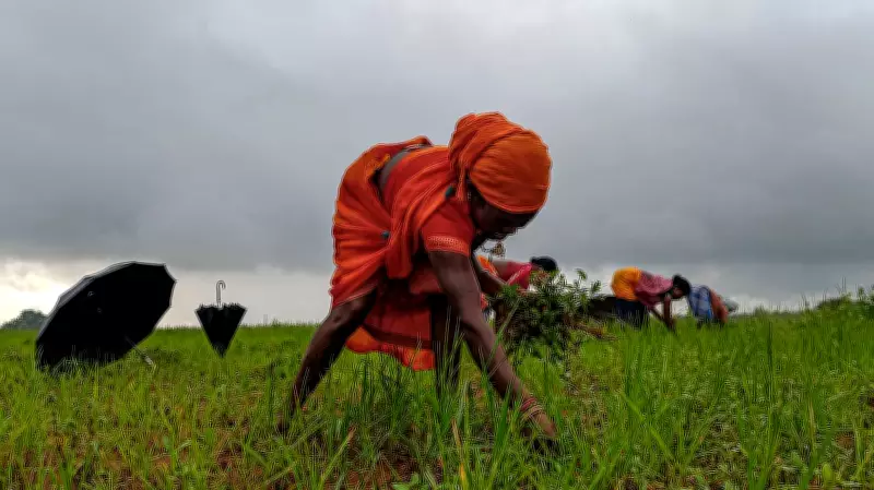 Maharashtra to Table Women Farmers Empowerment Bill in Monsoon Session