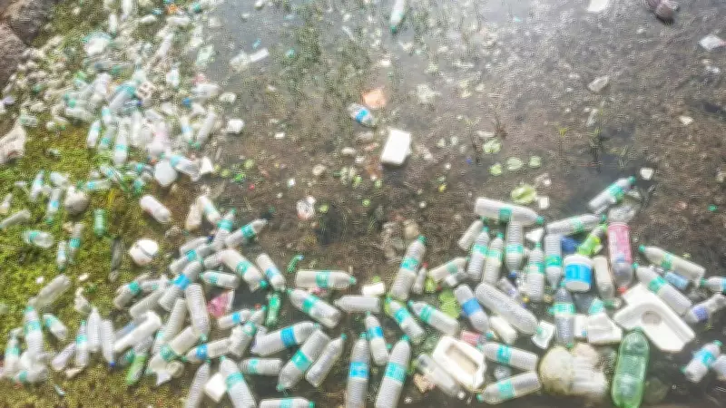 Maidala Lake in Karnataka: From Lifeline to Dumpyard, Cries for Restoration