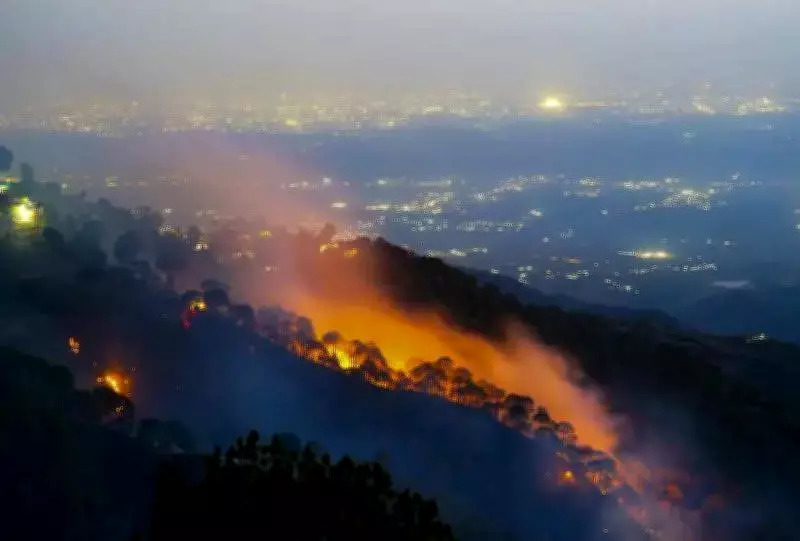 Major Forest Fire in Himachal's Solan District Contained After Six Hours