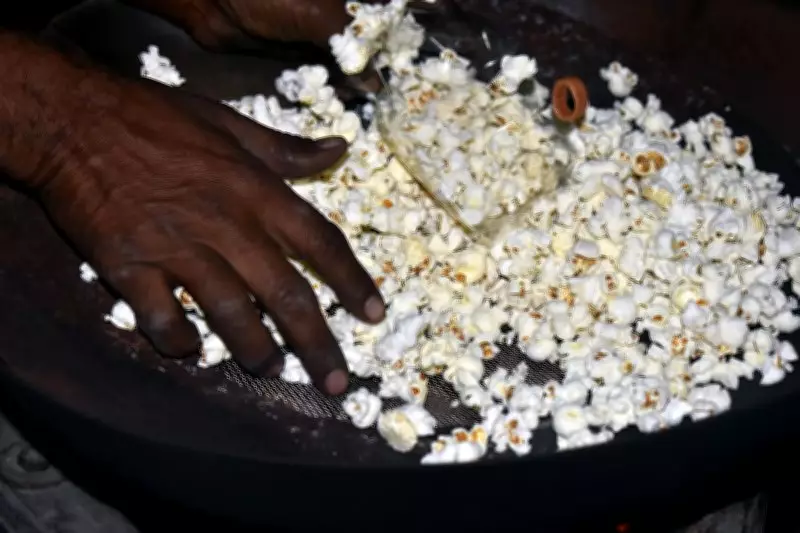 Makki, Bhatti & Joys of Yore: A Nostalgic Tale of Roasted Grains