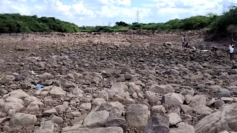 Malaprabha River Dries Up, Farmers in Karnataka Face Crisis