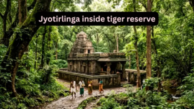 Mallikarjuna Jyotirlinga: India's Only Temple Inside a Tiger Reserve