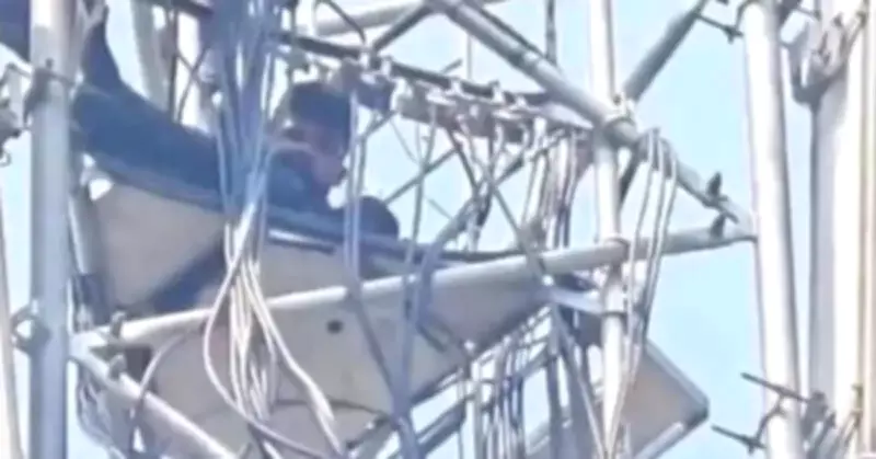 Man climbs mobile tower in Hazaribag over land mutation, CM intervenes