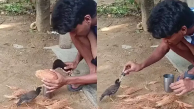 Man Feeds Coconut Water to Bird with Dropper in Viral Heartwarming Video