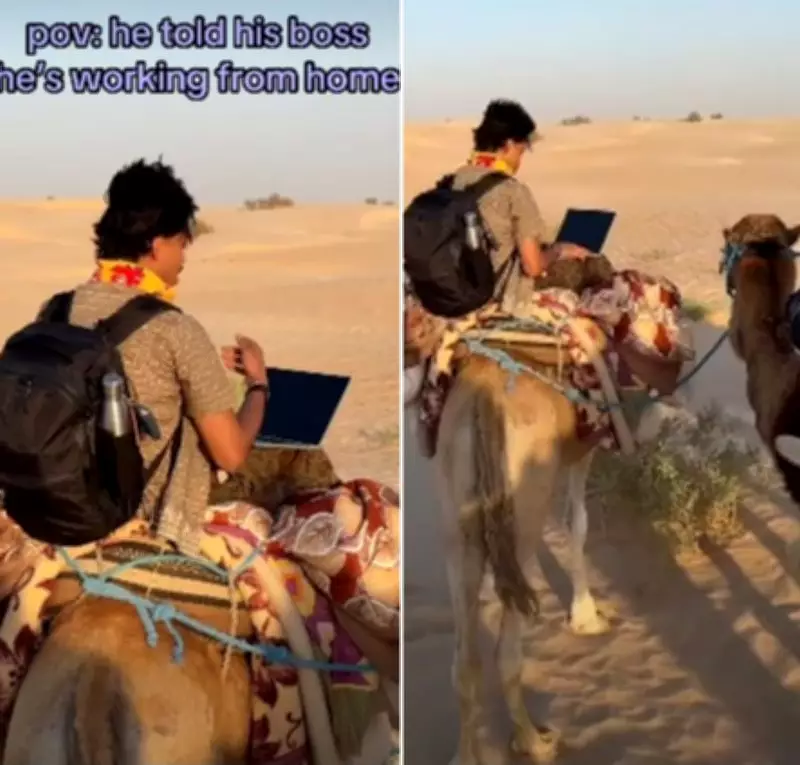 Man Works From Home on Camel in Sahara Desert, Internet Amused
