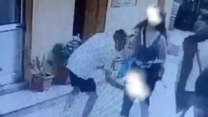 Manali Harassment Video: Foreign Woman Allegedly Targeted, Probe Ordered