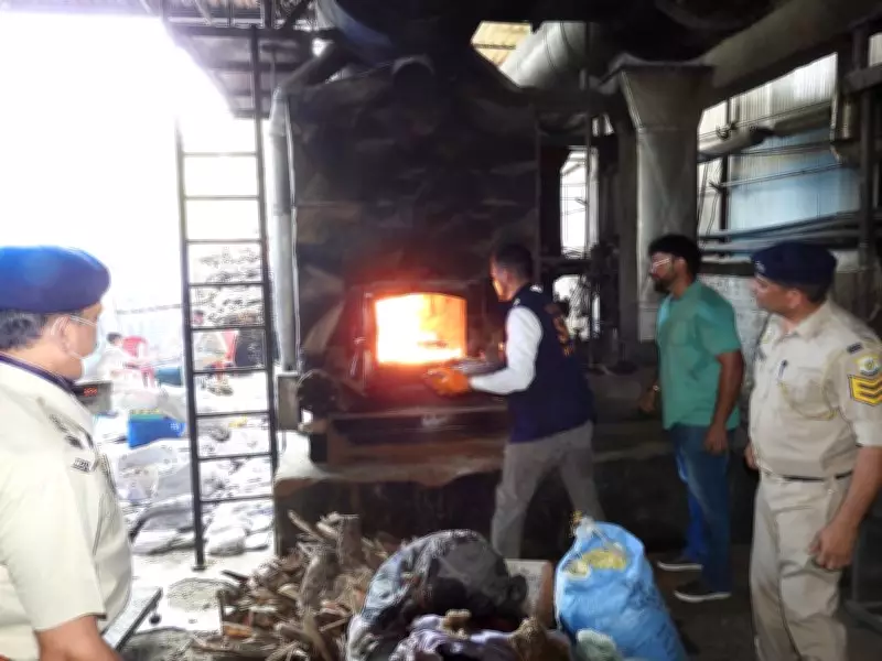 Mandi Police Destroy Drugs Worth Crores on Anti-Chitta Day