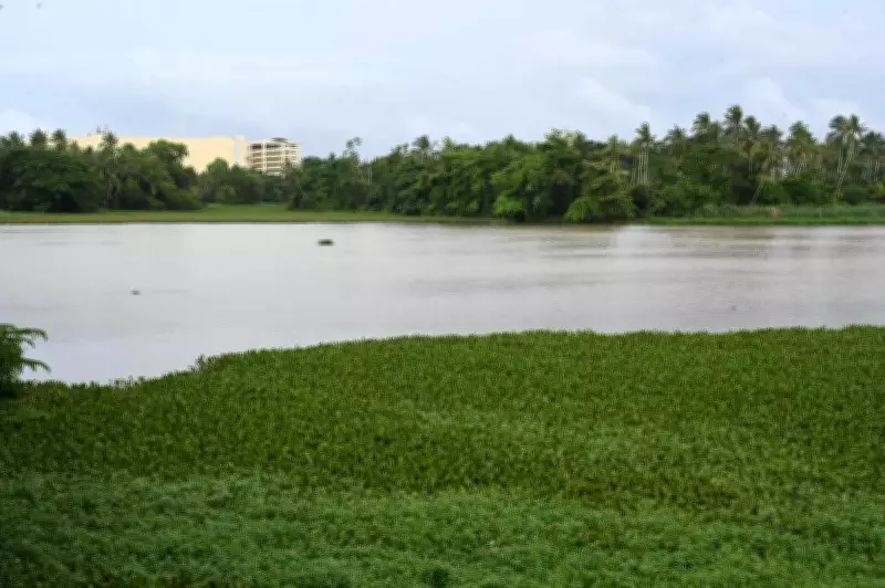 Mandya DC Orders Action to Clear Lake Encroachments, Protect Water Bodies
