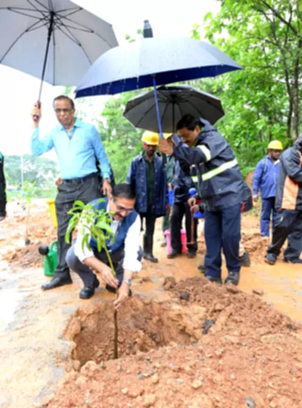 Mangaluru Celebrates World Environment Day with Plantations and Awareness