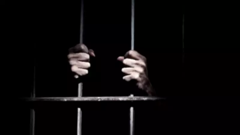 Mangaluru: Main Accused in Ragpicker Lynching Case Granted Bail