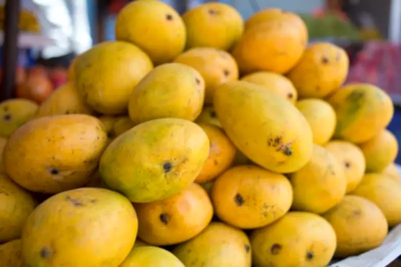 Mangomania Festival in Delhi Blends Mango with Global Culinary Creativity