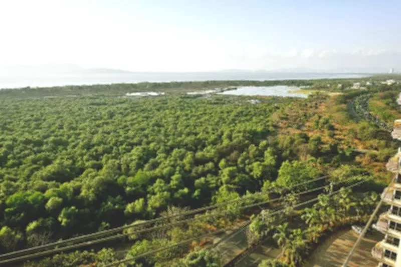 Mangrove Cell Reports 3 Illegal Structures in Mumbai Buffer Zone