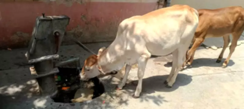 Marathwada Faces 22% Rainfall Deficit in June Amid Weak Pre-Monsoon Activity