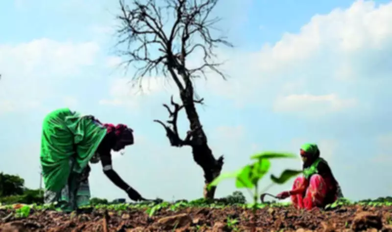 Marathwada Weather Swings From Floods to Severe Heat in One Year