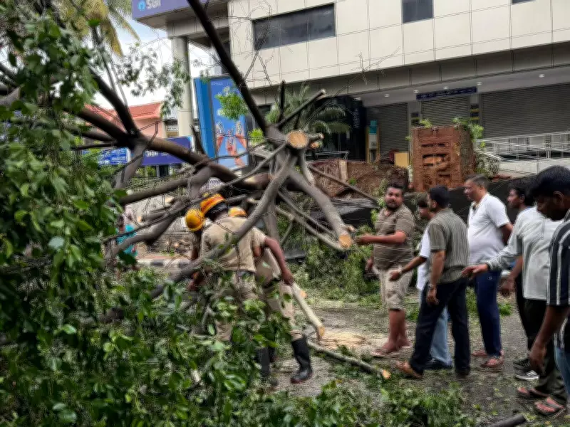 Massive Tree Falls Near Ramakrishna Mutt in Bengaluru, Bus Shelter Crushed
