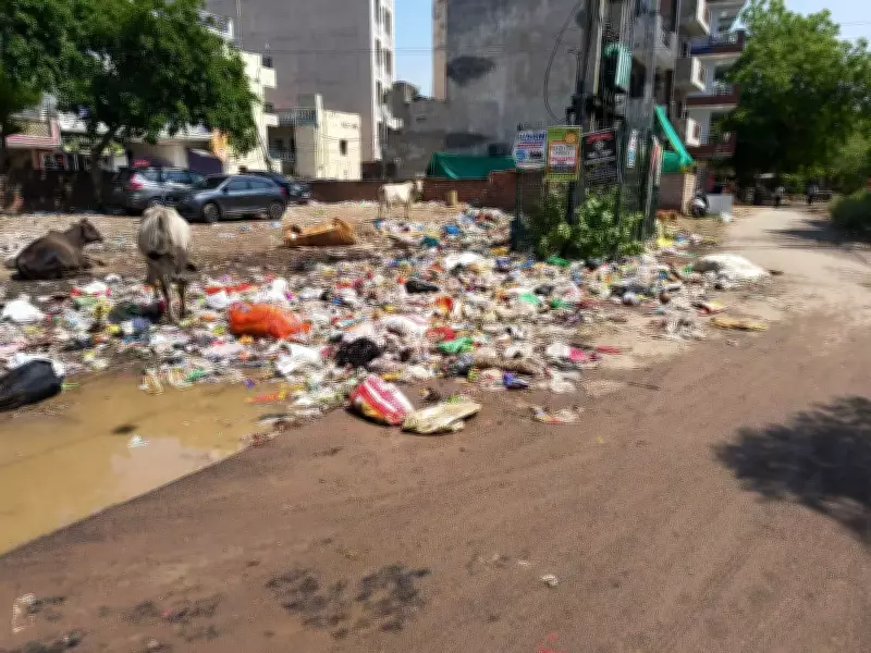 MCG to Hold Two-Day Cleanliness Drive in Four Gurgaon Wards