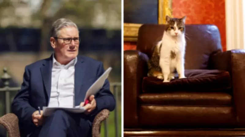 Meet Larry the Cat, UK's Longest-Serving Downing Street Resident