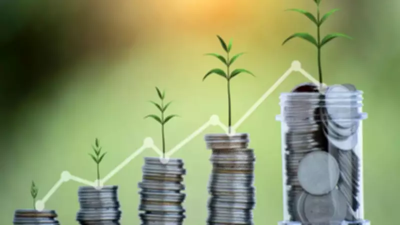 Microfinance Lenders Show Stabilisation Signs, Portfolio Shrinks 17% YoY
