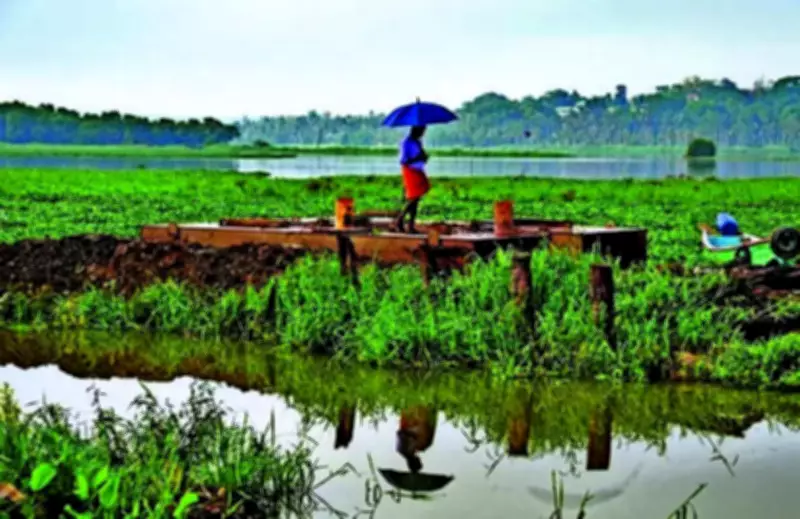 Monsoon Advances in South Konkan, Brings Rain Relief to Coastal Maharashtra