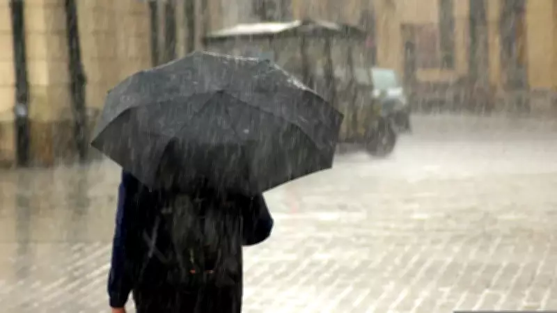 Monsoon Revival Imminent: IMD Predicts Strong Advance Towards Delhi Soon