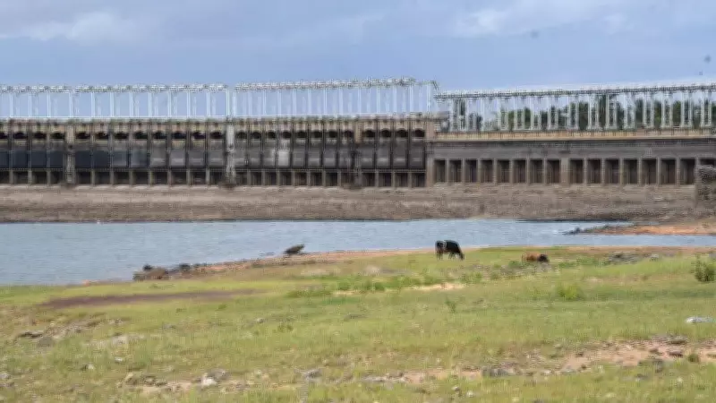 Monsoon Slowdown Depletes Water Storage in Cauvery Basin Dams