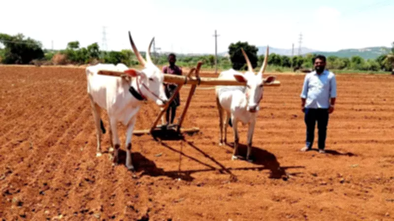 Monsoon Sowing Severely Hit as Rain Fails in Karnataka's Molakalmuru