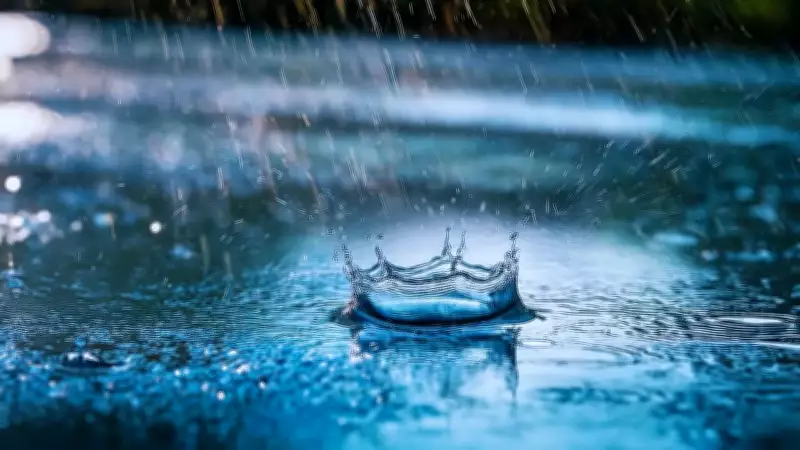 Monsoon Sweeps India: Heavy Rain, Travel Disruptions, Scenic Beauty Forecast