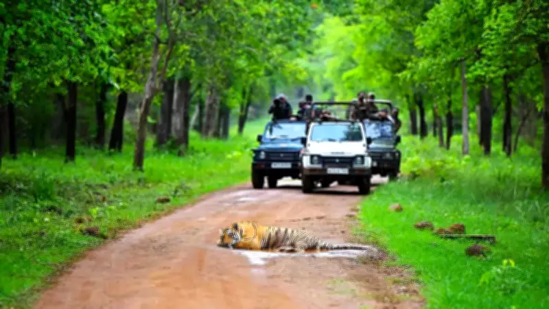 Monsoon Wildlife Tourism Gains Popularity Among Hyderabadis