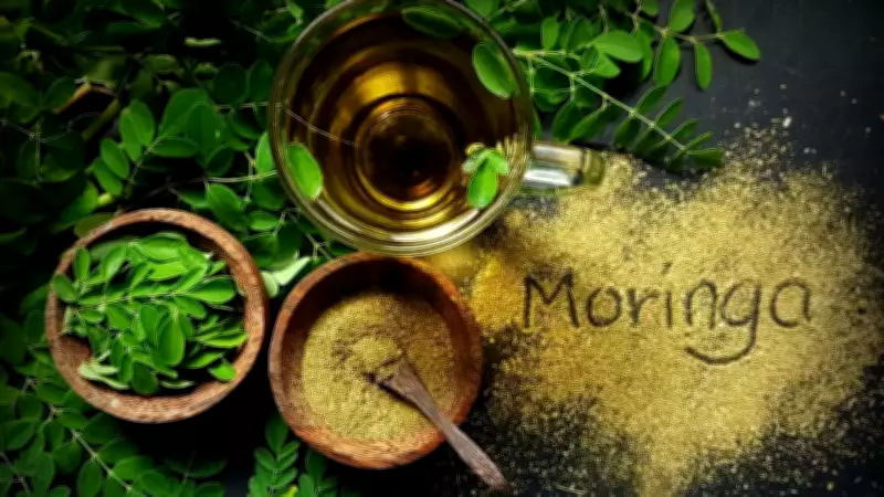Moringa Exports from Dharmapuri Bring Farmers Steady Income