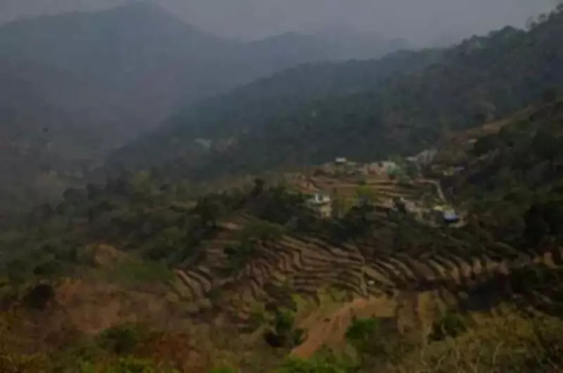 Morni Land Settlement: Joint Team to Survey 6,000 Acres, End Disputes