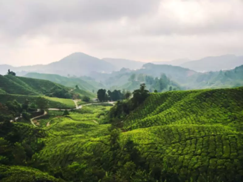 Mountain Bookings Up 76% in June as Urban Indians Flock to Hills: Zostel