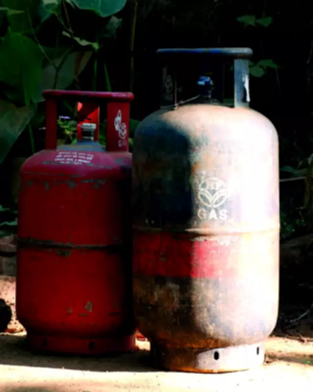 Mumbai Gas Agency Owner, Employee Held for Illegal LPG Transfer