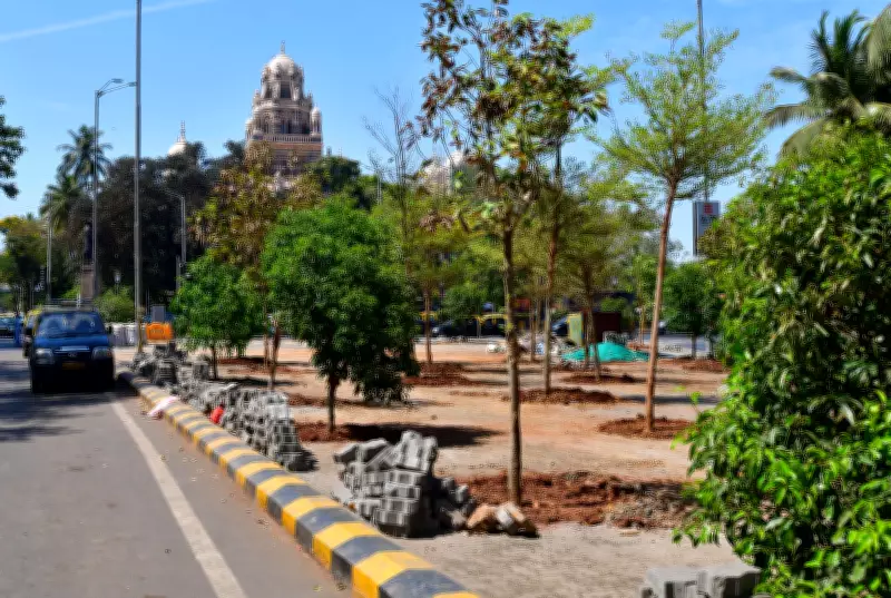 Mumbai Tree Authority Meeting Questions Compensatory Plantation Outside City