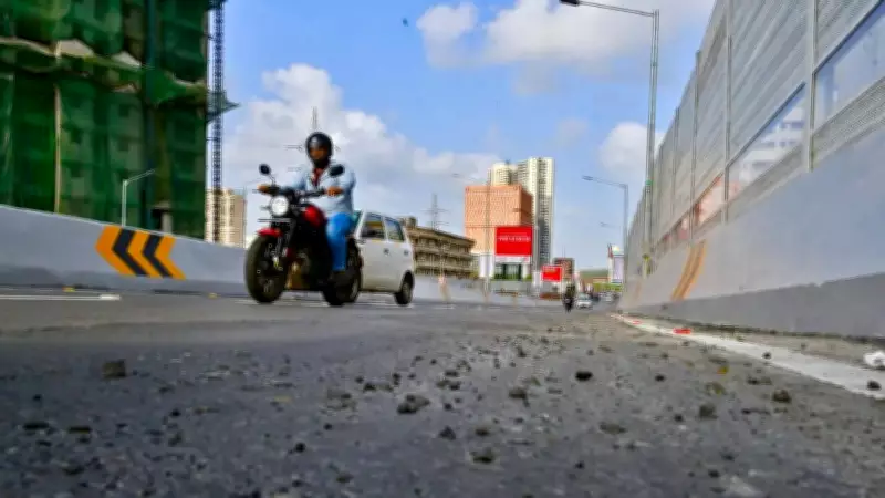 Mumbai's Rs 248-crore Mrinaltai Gore flyover faces quality concerns hours after opening