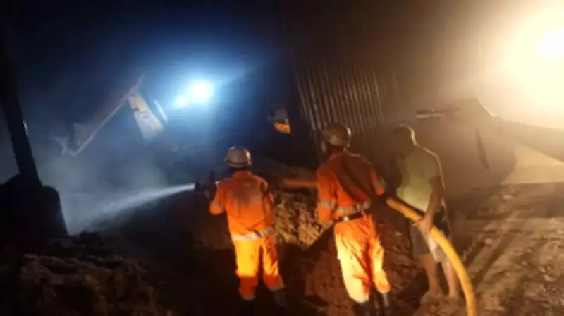 Mushroom Factory Gutted in Ponda Fire Due to Sawdust Blaze