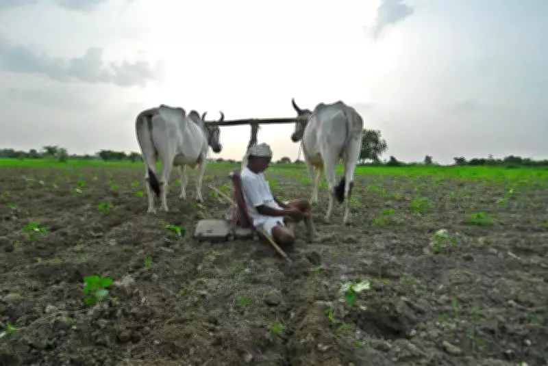 Mysuru District Records 78 Farmer Suicides in 12 Months, Periyapatna Worst Hit
