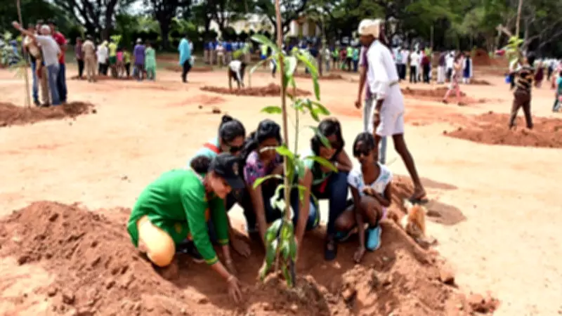 Mysuru to Plant 2.46L Seedlings on World Environment Day