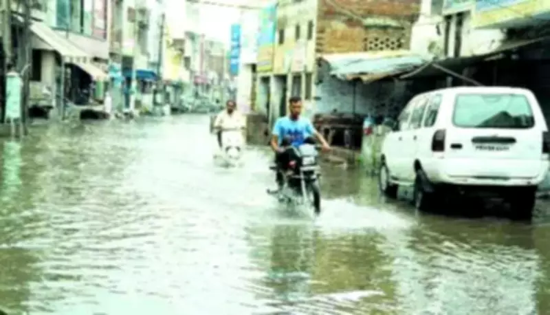 Nabha Residents Allege Inadequate Drain Desilting Ahead of Monsoon