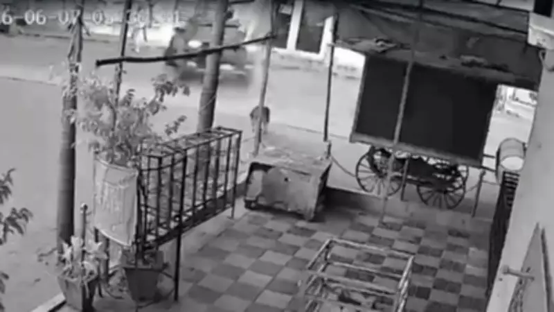 Nagpur Hit-and-Run: 72-Year-Old Dies After 5-Day Battle, Accused Untraced
