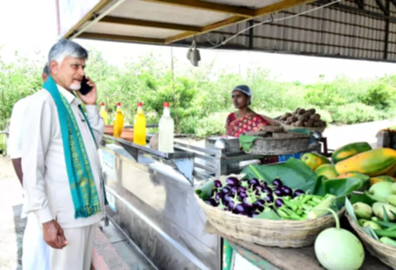 Naidu releases Rs 3,125 crore to Andhra farmers under PM Kisan scheme