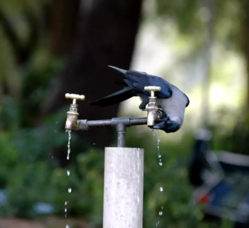 Nashik Municipal Corporation Plans Rs 100 Crore Solution for Contaminated Water Source